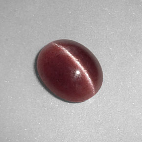 Sillimanite cat's eye marron naturelle transparent, 1,26 ct, transparent / translucide