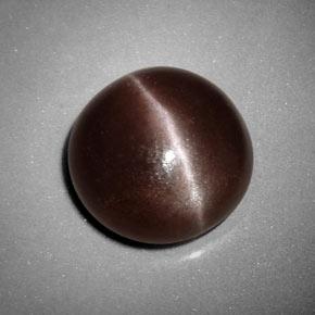Sillimanite cat's eye marron naturelle coupe roude, 6,99 ct, opaque