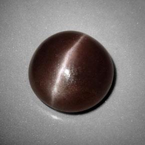 Sillimanite cat's eye marron naturelle coupe roude, 6,99 ct, opaque