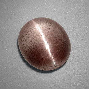 Sillimanite cat's eye marron naturelle transparent, 3,38 ct, transparent / translucide