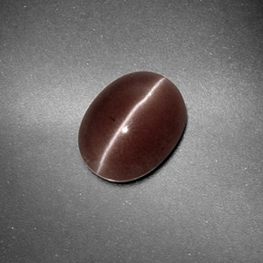 Sillimanite cat's eye marron naturelle coupe ovale, 1,59 ct, translucide