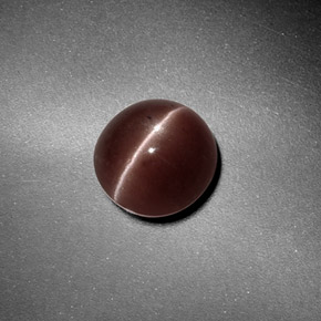 Sillimanite cat's eye marron naturelle coupe roude, 1,82 ct, translucide