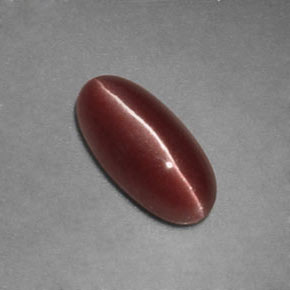 Sillimanite cat's eye marron naturelle transparent, 1,12 ct, transparent / translucide