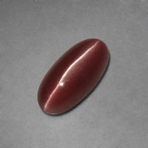 Sillimanite cat's eye marron naturelle transparent, 1,12 ct, transparent / translucide