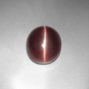 Sillimanite cat's eye marron naturelle coupe ovale, 3,29 ct, opaque