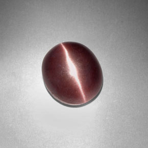 Sillimanite cat's eye marron naturelle coupe ovale, 3,29 ct, opaque