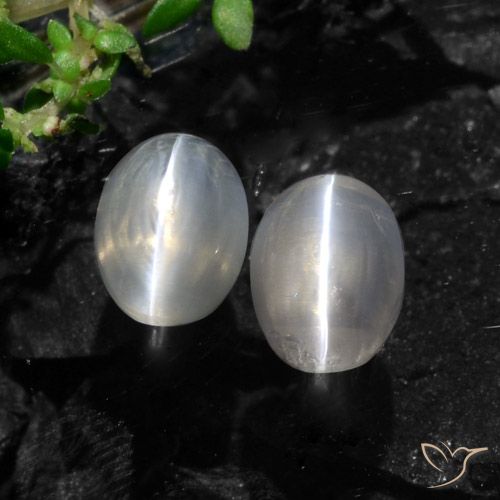 2.61ctw Naturel Gris très clair Sillimanite œil de chat, ovale, Translucide
