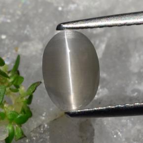 Sillimanite œil de chat Brun grisâtre naturelle Coupe ovale, 1.23 ct, Translucide
