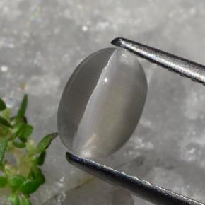 Sillimanite œil de chat Brun grisâtre naturelle Coupe ovale, 1.23 ct, Translucide