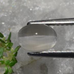 Sillimanite œil de chat Brun grisâtre naturelle Coupe ovale, 1.23 ct, Translucide