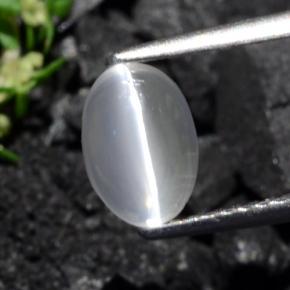 Sillimanite œil de chat Brun grisâtre naturelle Coupe ovale, 1.40 ct, Transparent