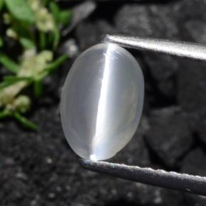 Sillimanite œil de chat Brun grisâtre naturelle Coupe ovale, 1.40 ct, Transparent