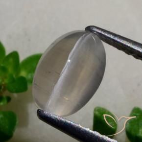 Sillimanite œil de chat Gris très clair naturelle ovale, 1.65 ct, Translucide