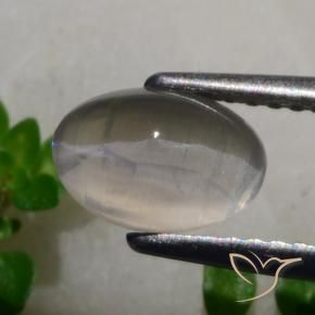 Sillimanite œil de chat Gris très clair naturelle ovale, 1.65 ct, Translucide