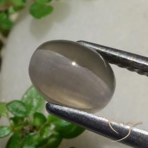Sillimanite œil de chat Brun arachide naturelle ovale, 1.80 ct, Translucide