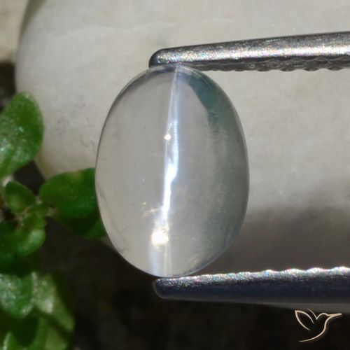 1.47ct Naturel Blanc Sillimanite œil de chat, ovale, Transparent