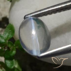 Sillimanite œil de chat Blanc naturelle ovale, 1.47 ct, Transparent