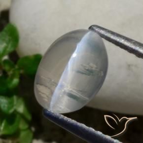 Sillimanite œil de chat Gris très clair naturelle ovale, 1.42 ct, Transparent