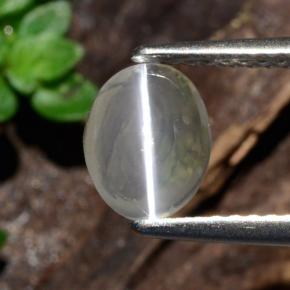 Sillimanite œil de chat Fumée naturelle Coupe ovale, 1.14 ct, Transparent