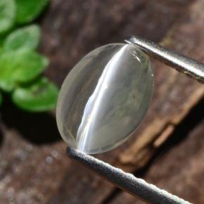 Sillimanite œil de chat Fumée naturelle Coupe ovale, 1.14 ct, Transparent