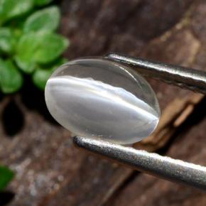 Sillimanite œil de chat Fumée naturelle Coupe ovale, 1.14 ct, Transparent