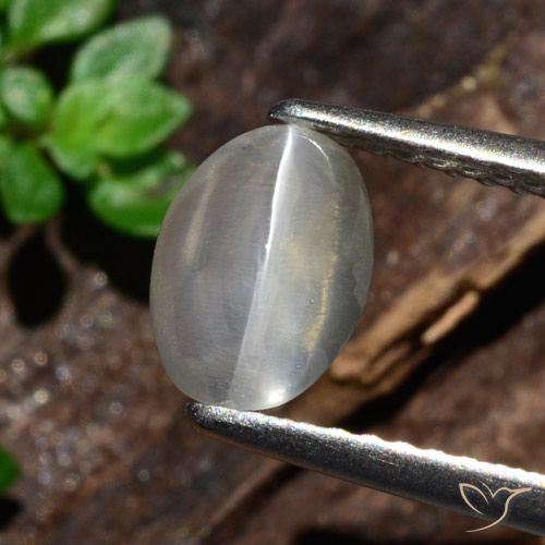 1.47ct Naturel Blanc Sillimanite œil de chat, ovale, Translucide