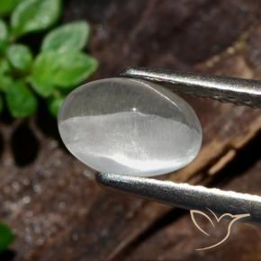 Sillimanite œil de chat Blanc naturelle ovale, 1.47 ct, Translucide