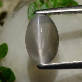 Sillimanite œil de chat Fumée naturelle Coupe ovale, 1.20 ct, Transparent