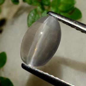 Sillimanite œil de chat Fumée naturelle Coupe ovale, 1.20 ct, Transparent
