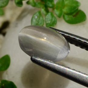 Sillimanite œil de chat Fumée naturelle Coupe ovale, 1.20 ct, Transparent