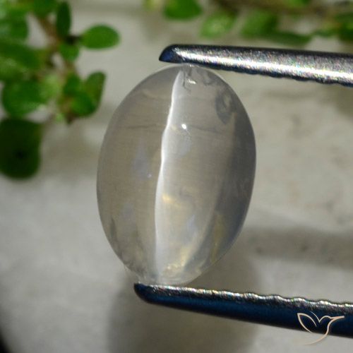 Sillimanite œil de chat Gris très clair naturelle ovale, 1.40 ct, Transparent