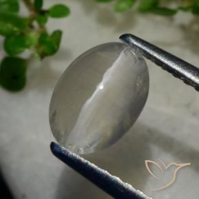 Sillimanite œil de chat Gris très clair naturelle ovale, 1.40 ct, Transparent