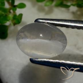 Sillimanite œil de chat Gris très clair naturelle ovale, 1.40 ct, Transparent