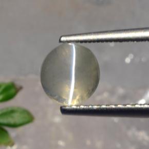 Sillimanite cat's eye gris naturelle coupe roude, 1,56 ct, translucide