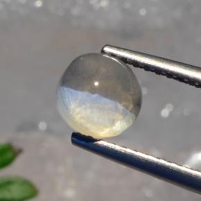 Sillimanite cat's eye gris naturelle coupe roude, 1,56 ct, translucide