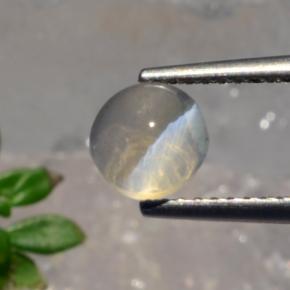 Sillimanite cat's eye gris naturelle coupe roude, 1,56 ct, translucide