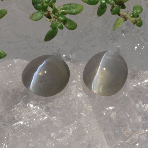 3.07ctw Naturel Gris très clair Sillimanite œil de chat, ovale, Translucide
