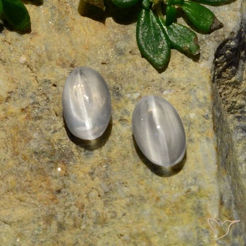 1.37ctw Naturel Blanc Sillimanite œil de chat, ovale, Translucide