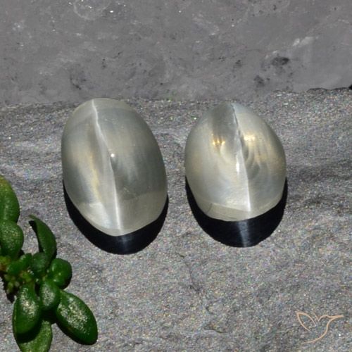 2.94ctw Naturel Blanc chaud Sillimanite œil de chat, ovale, Translucide