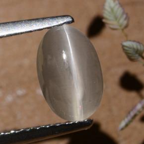 Sillimanite œil de chat Fumée naturelle Coupe ovale, 1.40 ct, Translucide