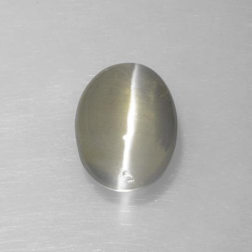 Sillimanite œil de chat Gris très clair naturelle Coupe ovale, 1.62 ct, Translucide