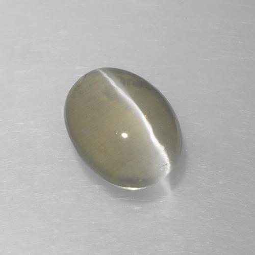 Sillimanite œil de chat Gris très clair naturelle Coupe ovale, 1.62 ct, Translucide