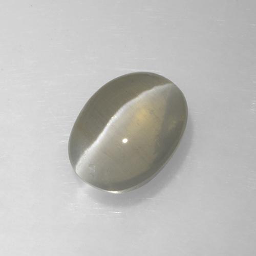 Sillimanite œil de chat Gris très clair naturelle Coupe ovale, 1.62 ct, Translucide