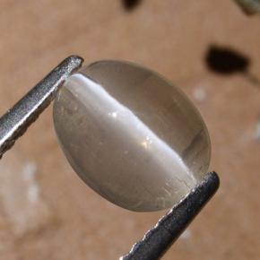 Sillimanite œil de chat Fumée naturelle Coupe ovale, 1.44 ct, Translucide