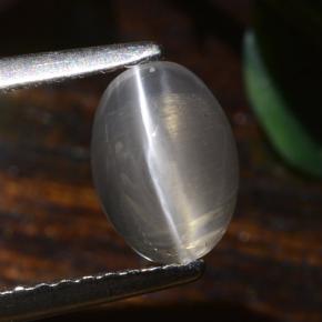 Sillimanite œil de chat Gris très clair naturelle Coupe ovale, 1.40 ct, Translucide