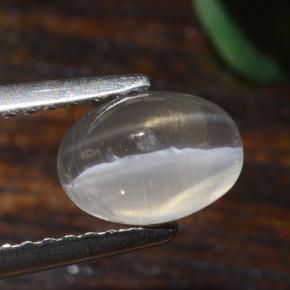 Sillimanite œil de chat Gris très clair naturelle Coupe ovale, 1.40 ct, Translucide