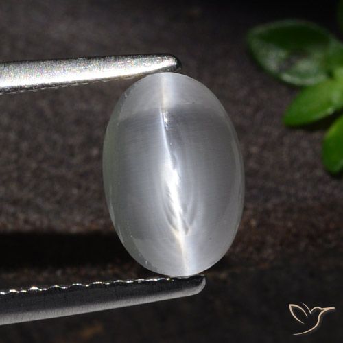 1.51ct Naturel Blanc Sillimanite œil de chat, ovale, Transparent