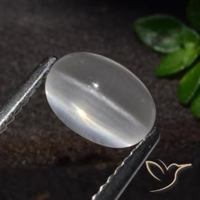 Sillimanite œil de chat Blanc naturelle ovale, 1.51 ct, Transparent