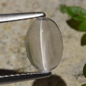 Sillimanite œil de chat Fumée naturelle Coupe ovale, 1.45 ct, Transparent
