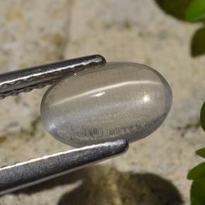 Sillimanite œil de chat Fumée naturelle Coupe ovale, 1.45 ct, Transparent